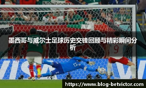韦德体育平台