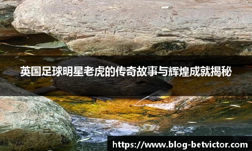 英国足球明星老虎的传奇故事与辉煌成就揭秘